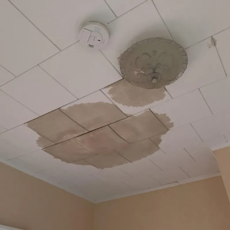 Ceiling Water Damage Repair in Americus, GA
