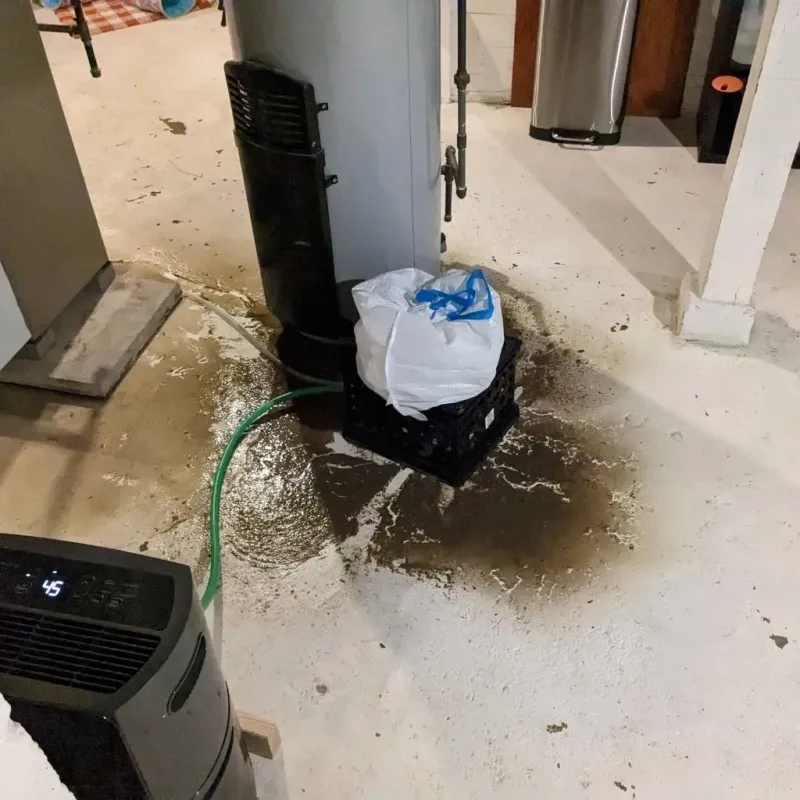 Sewage Backup Cleanup Service in Americus, GA